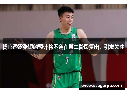 杨鸣透露张镇麟预计将不会在第二阶段复出，引发关注